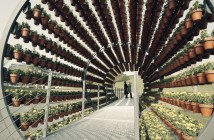 Arquitectura y aromas
