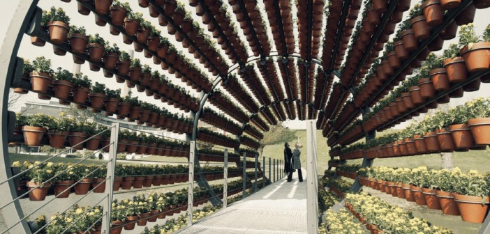 Arquitectura y aromas