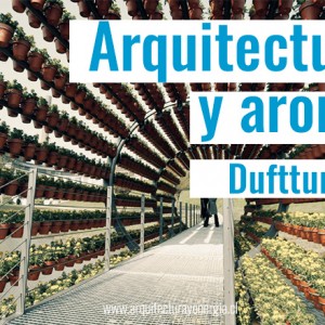 arquitectura-y-aroma