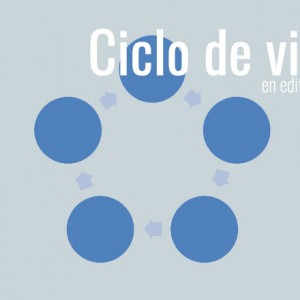 ciclo de vida en edificación